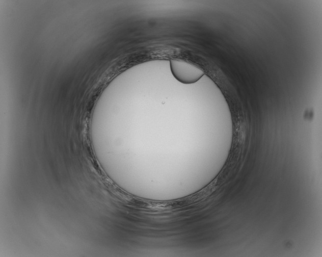 X0000110950753200906191115