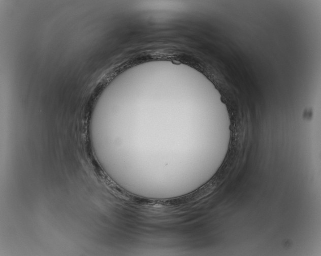 X0000110950755200906191115
