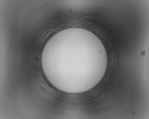 X0000110950756200906191115