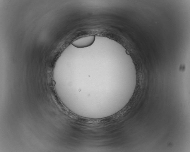 X0000110950757200906191115