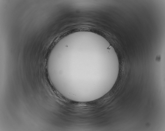 X0000110950759200906191115