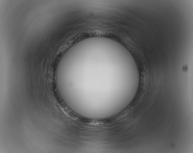 X0000110950760200906191115