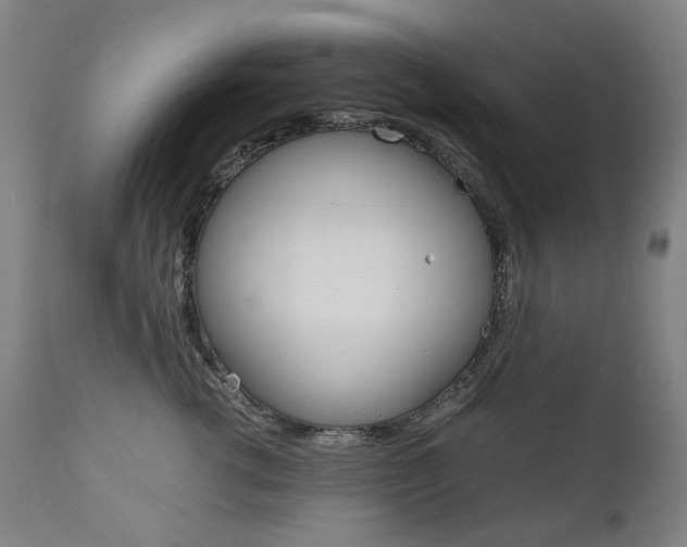 X0000110950762200906191115