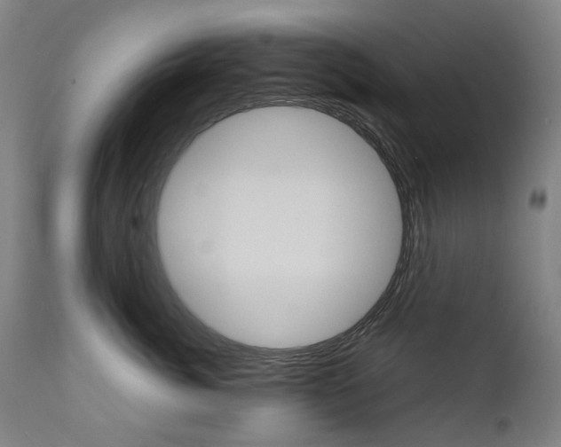 X0000110950764200906191115