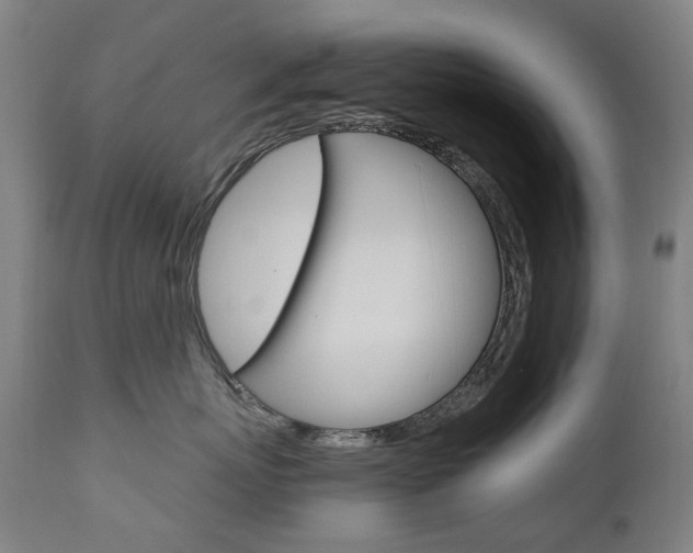 X0000110950767200906191115
