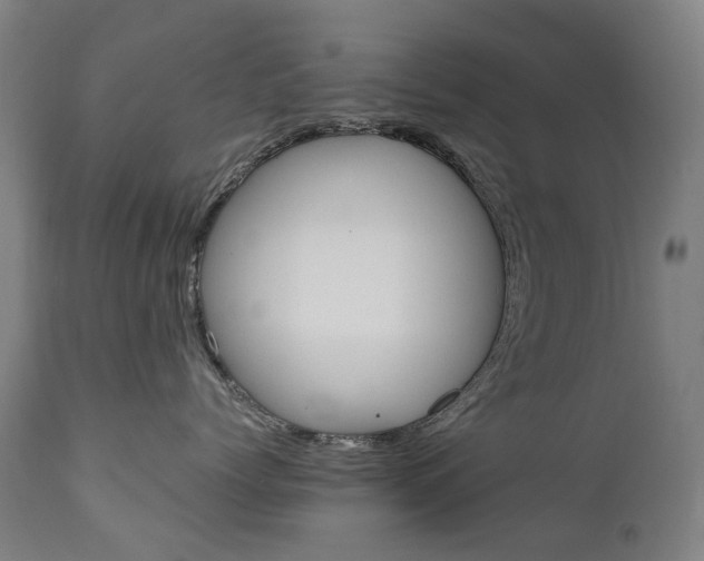 X0000110950768200906191115