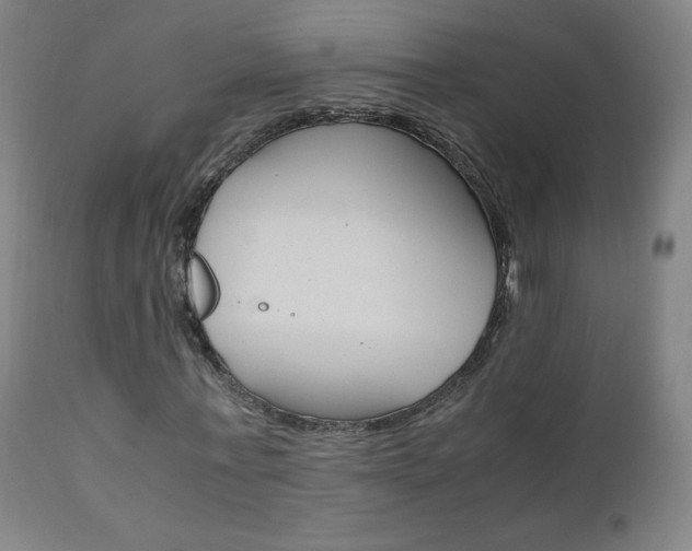 X0000110950771200906191114