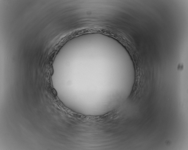 X0000110950773200906191114