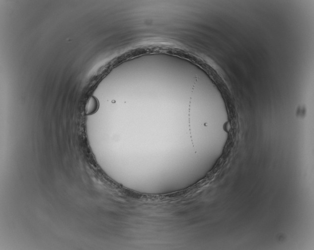 X0000110950775200906191114