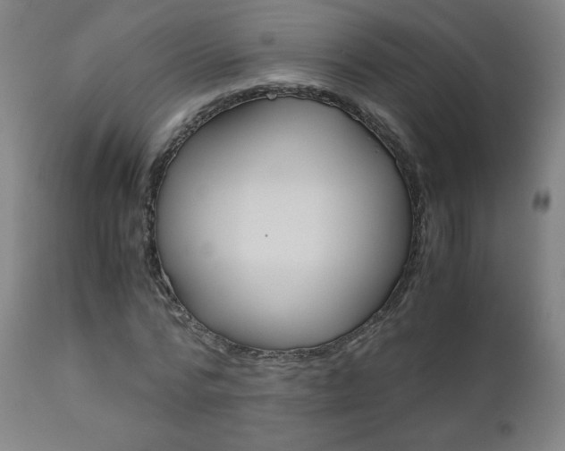 X0000110950776200906191114