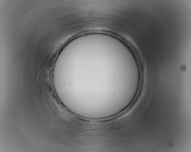 X0000110950777200906191114