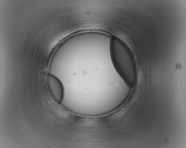 X0000110950781200906191114
