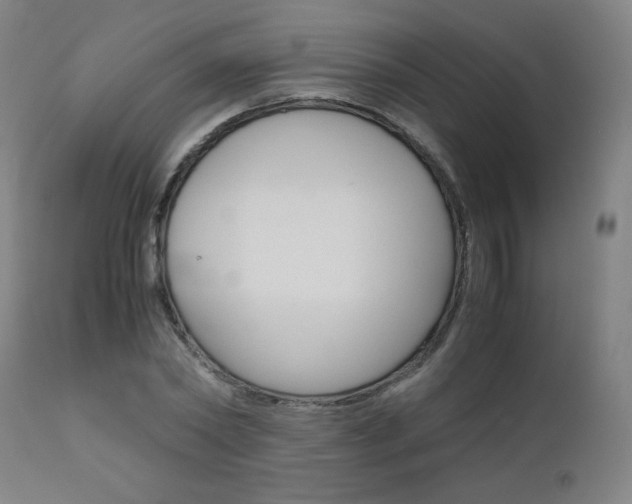 X0000110950782200906191114