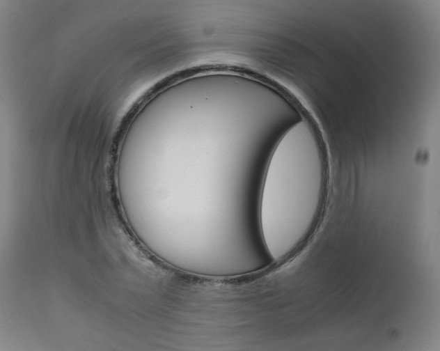 X0000110950783200906191114