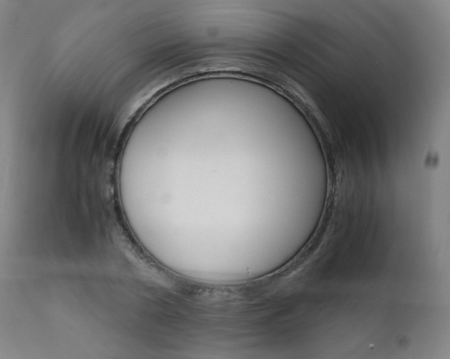 X0000110950786200906191114