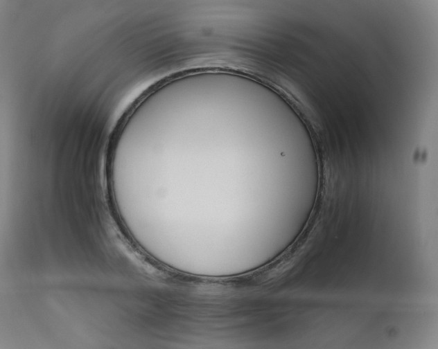 X0000110950788200906191114