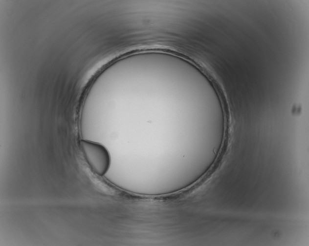 X0000110950789200906191114