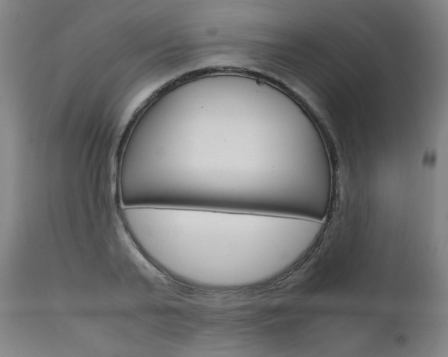 X0000110950791200906191114