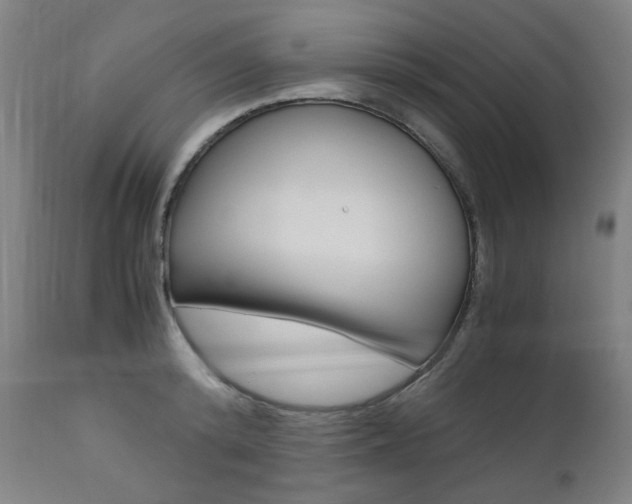 X0000110950800200906191113