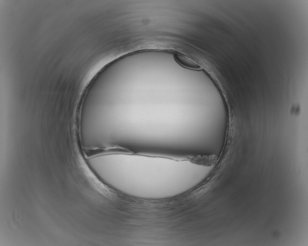 X0000110950803200906191113