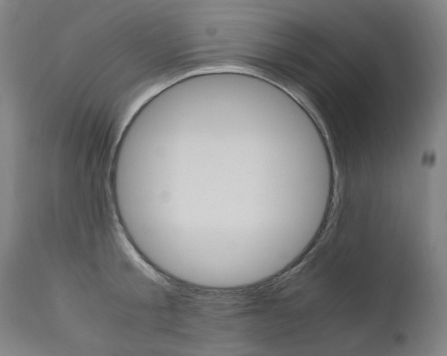 X0000110950805200906191113