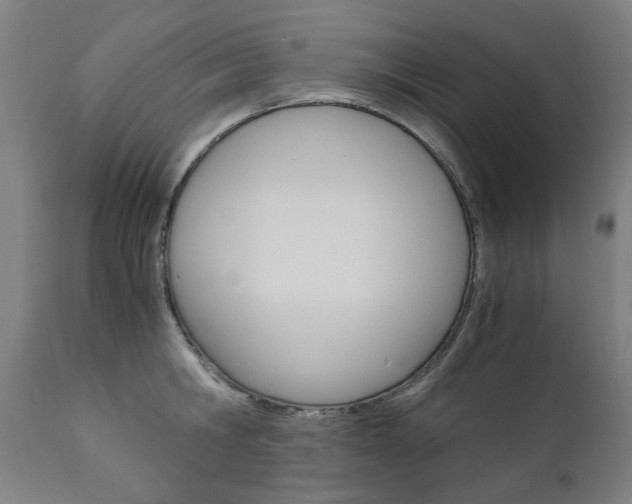 X0000110950806200906191113