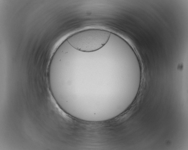 X0000110950807200906191113