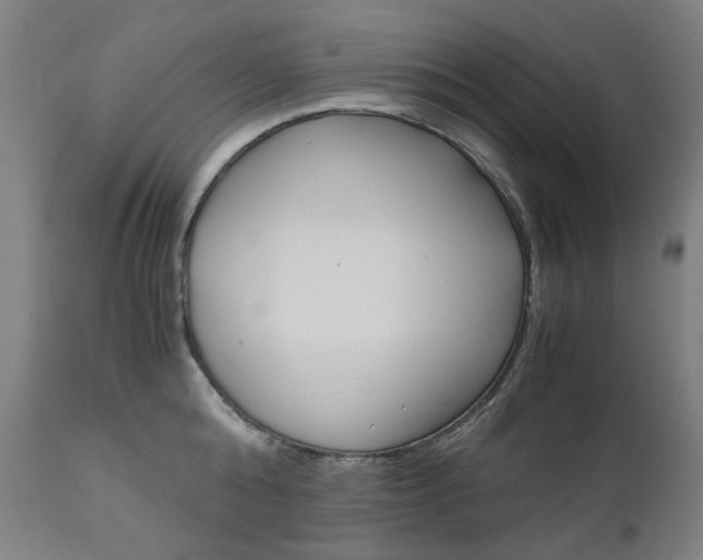 X0000110950808200906191113