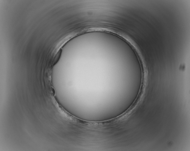 X0000110950809200906191113