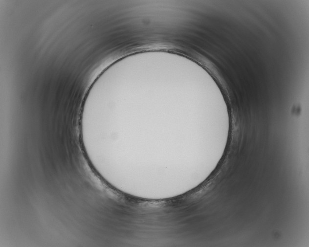 X0000110950810200906191113