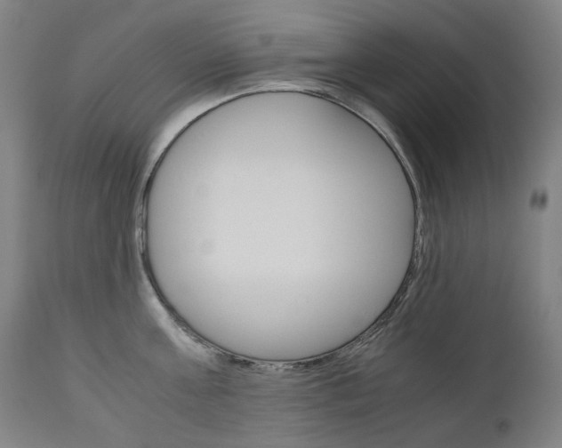 X0000110950811200906191113