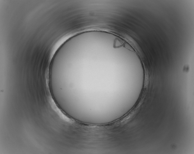 X0000110950812200906191113