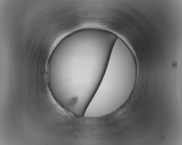 X0000110950815200906191113