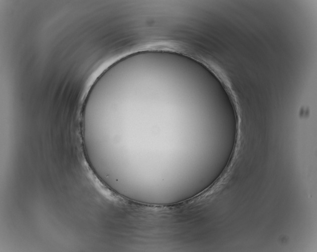 X0000110950816200906191113