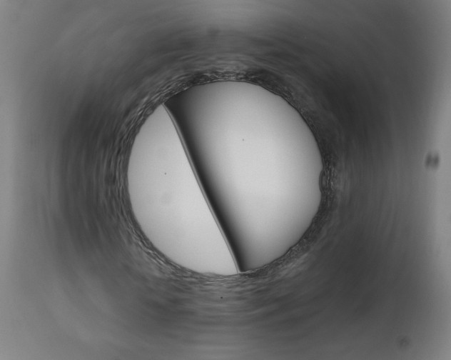 X0000110950818200906191112