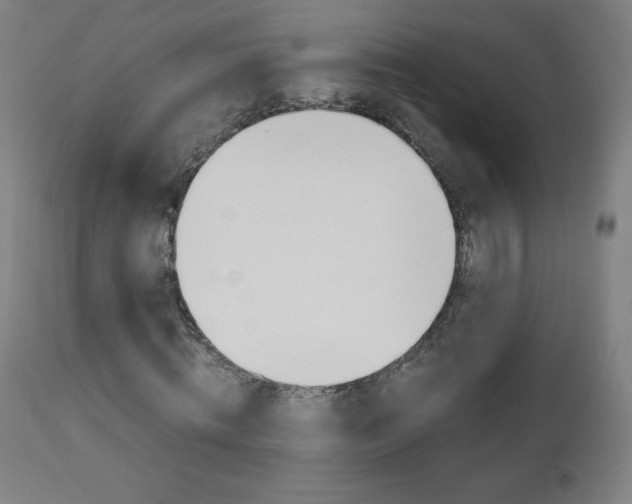 X0000110950820200906191112