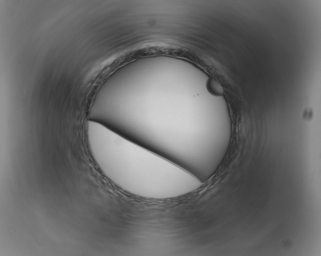 X0000110950822200906191113