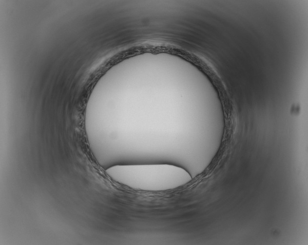 X0000110950823200906191113