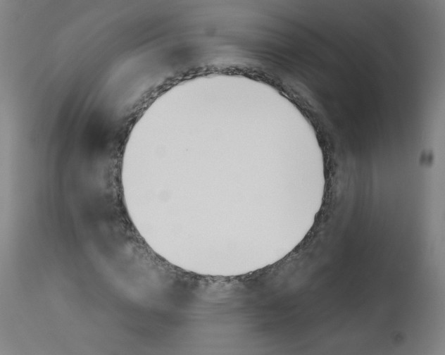 X0000110950824200906191113