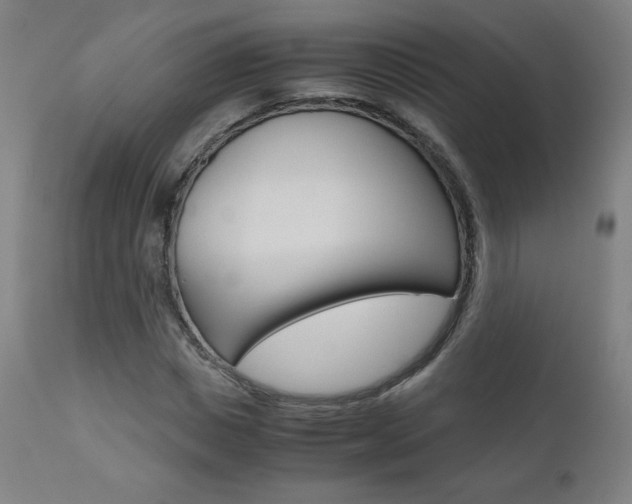 X0000110950825200906191113