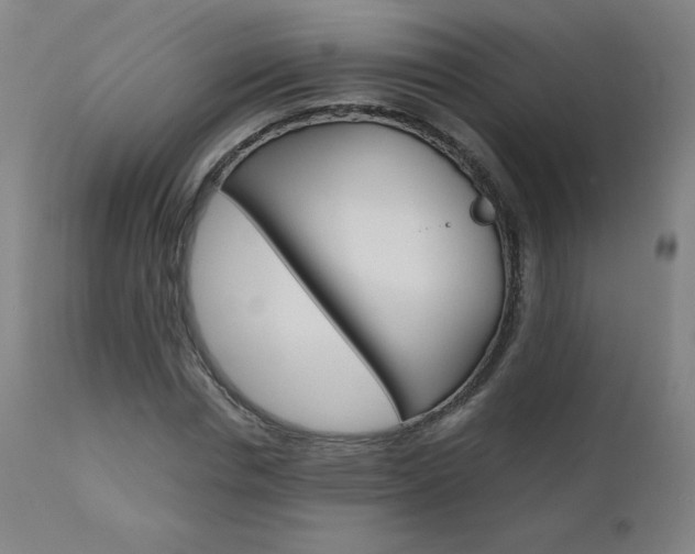X0000110950826200906191113