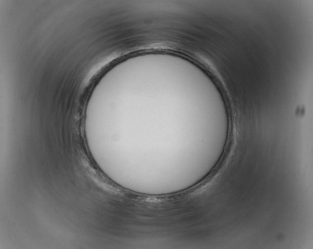 X0000110950827200906191113