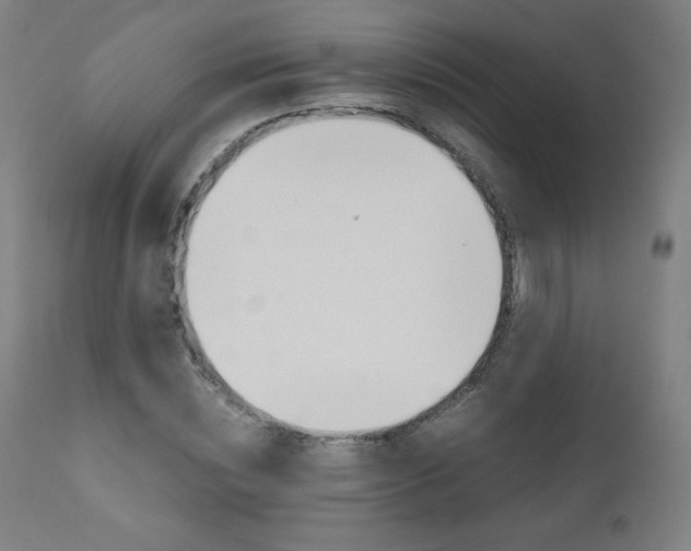X0000110950828200906191113