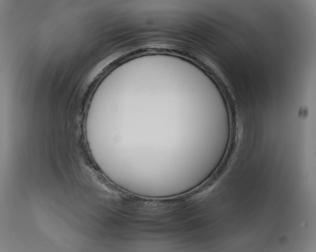 X0000110950829200906191113