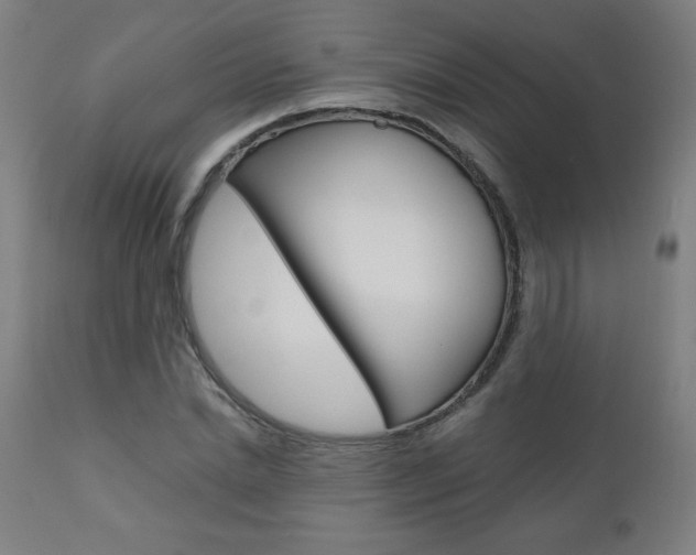 X0000110950830200906191113