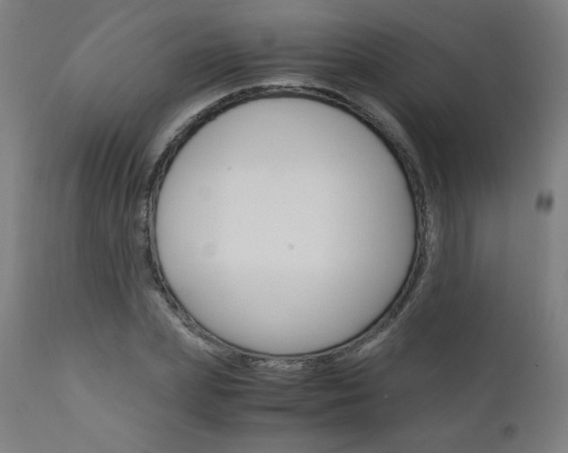 X0000110950831200906191113