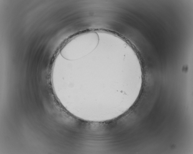 X0000110950832200906191113
