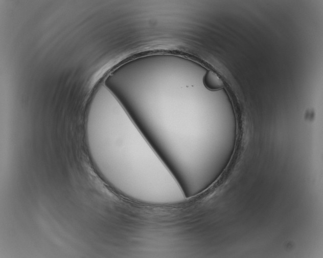 X0000110950834200906191113