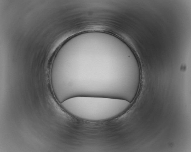X0000110950835200906191113