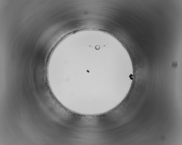 X0000110950836200906191113
